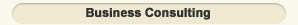 Business Consulting
