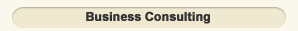 Business Consulting