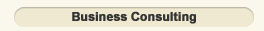 Business Consulting